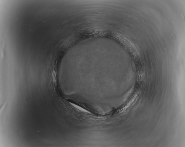 X0000103251010200809111611