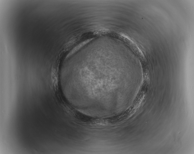 X0000103251012200809111611