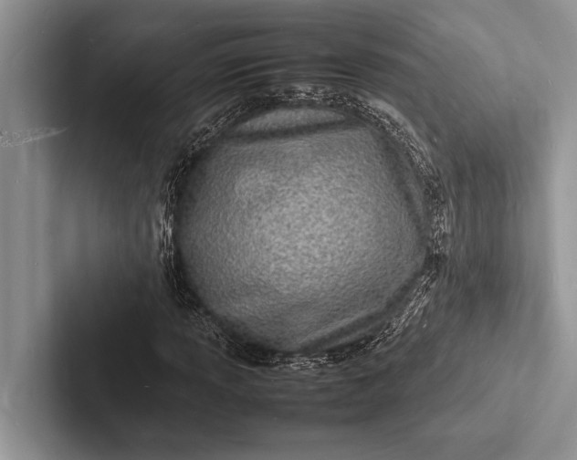 X0000103251013200809111611