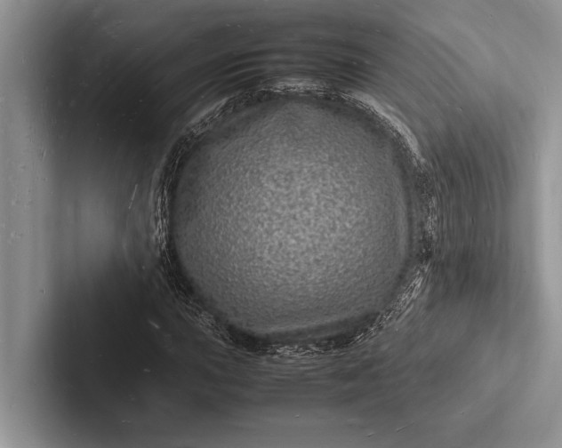 X0000103251015200809111611