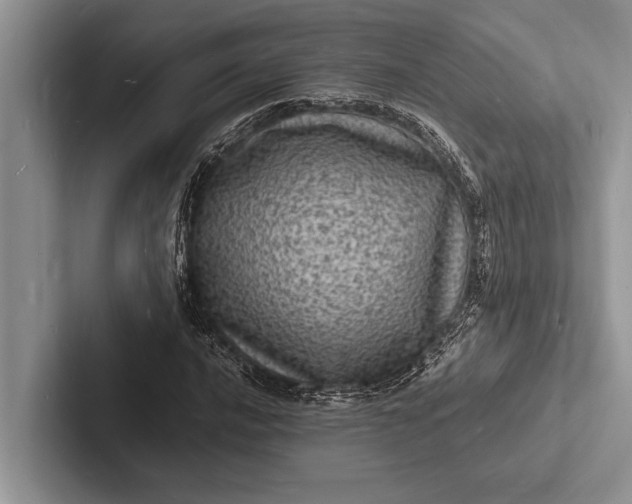 X0000103251016200809111611