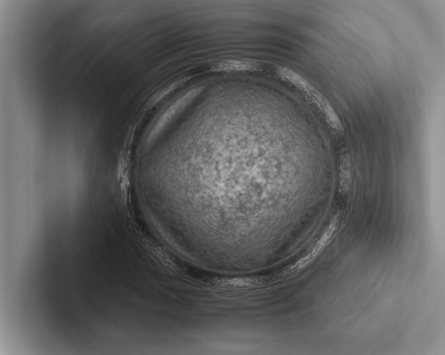 X0000103251017200809111611
