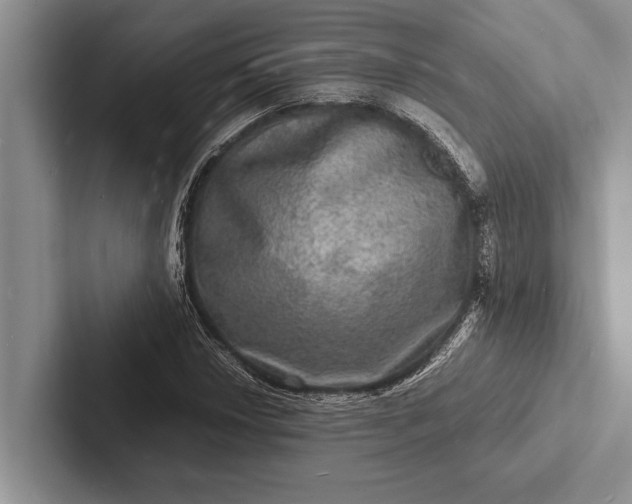 X0000103251018200809111611