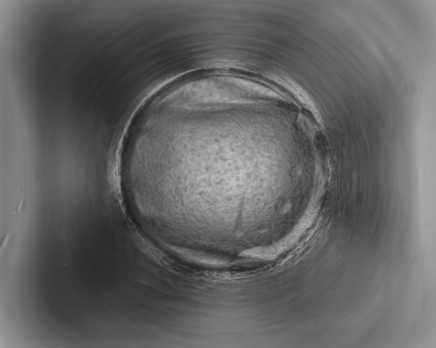X0000103251020200809111611