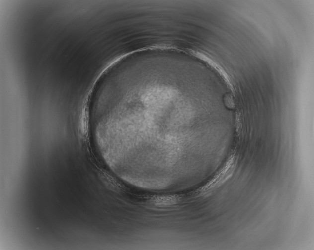 X0000103251021200809111611