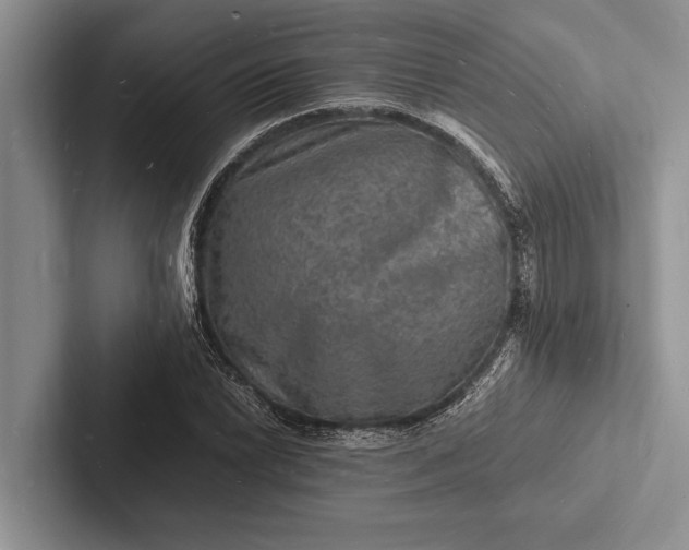 X0000103251022200809111611