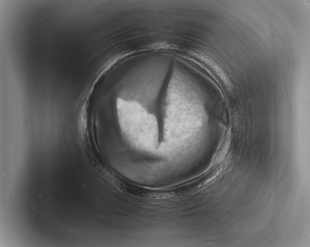 X0000103251023200809111611