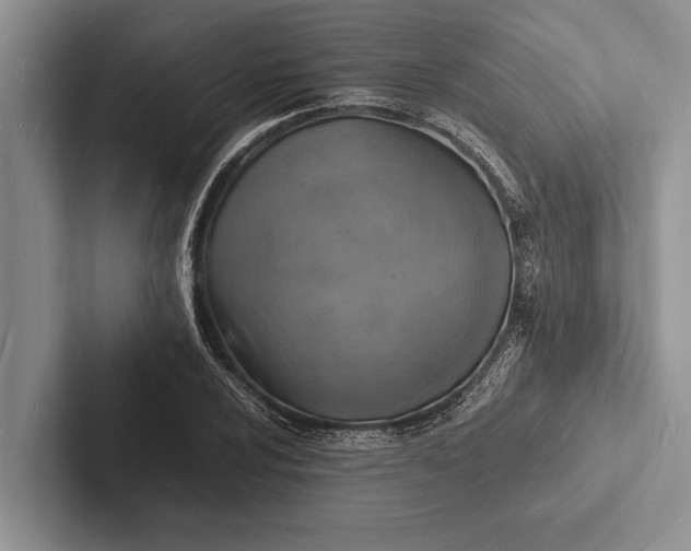 X0000103251024200809111611