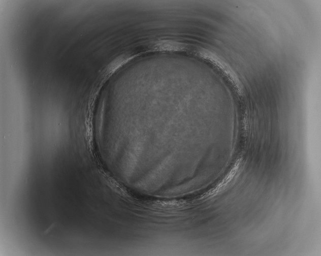X0000103251025200809111611