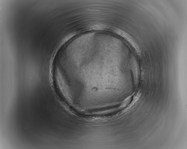 X0000103251026200809111611