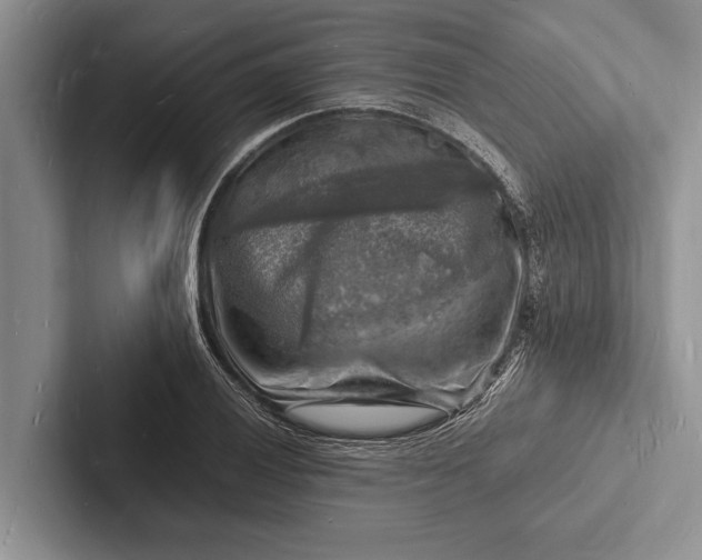 X0000103251028200809111611