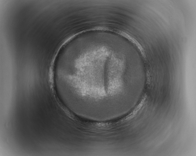 X0000103251029200809111611