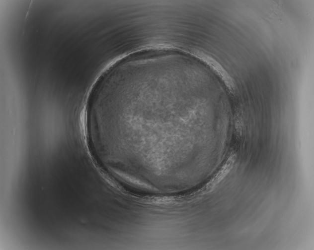 X0000103251030200809111611