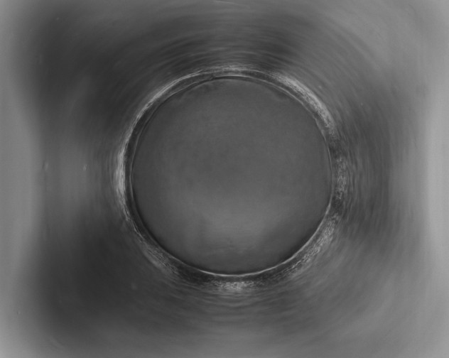 X0000103251031200809111611