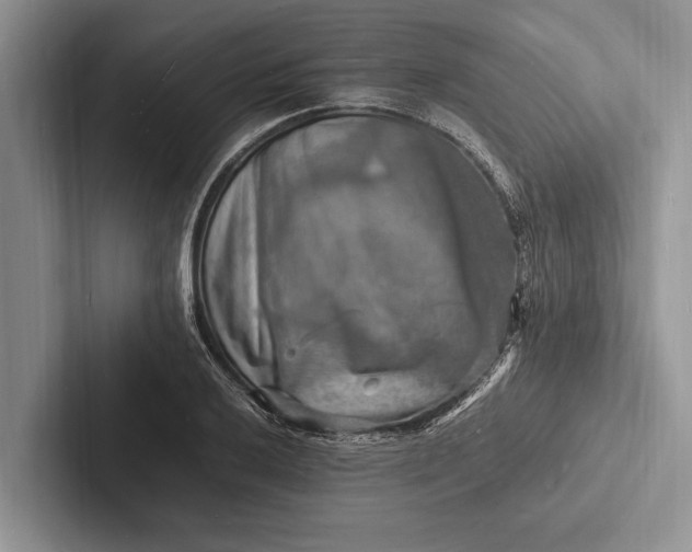 X0000103251032200809111611