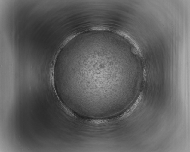 X0000103251033200809111611