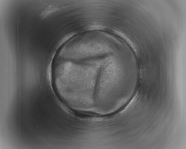 X0000103251034200809111611