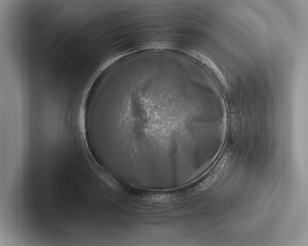 X0000103251035200809111611