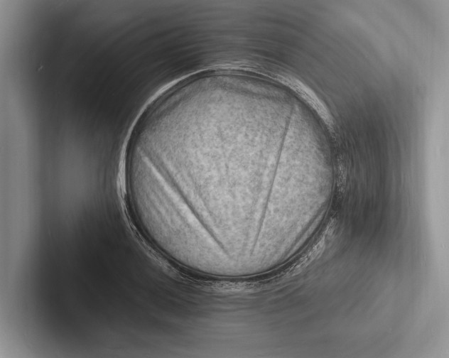 X0000103251036200809111611