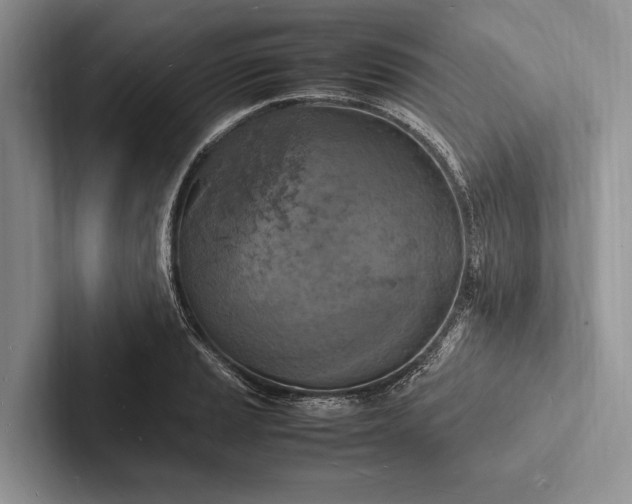 X0000103251037200809111611