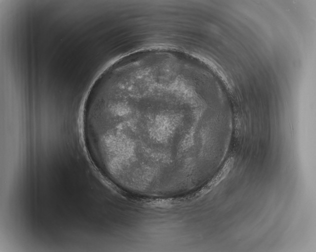 X0000103251038200809111611