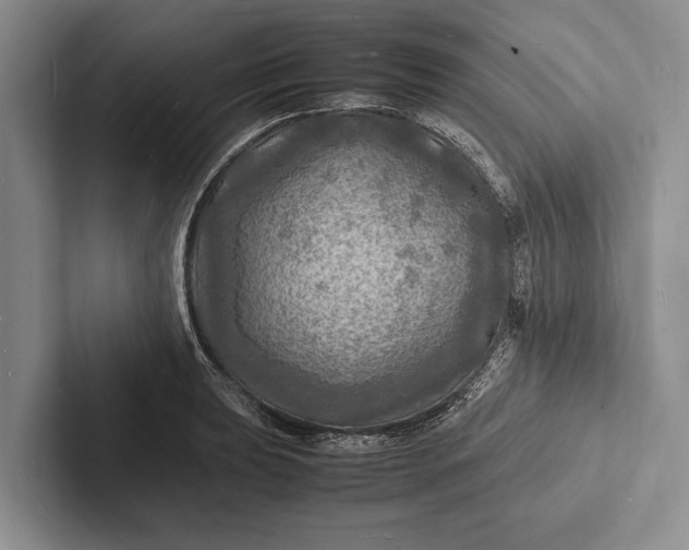 X0000103251039200809111611