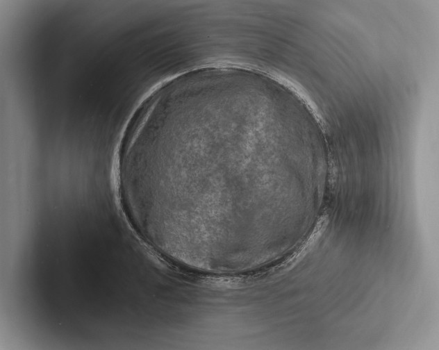 X0000103251040200809111611