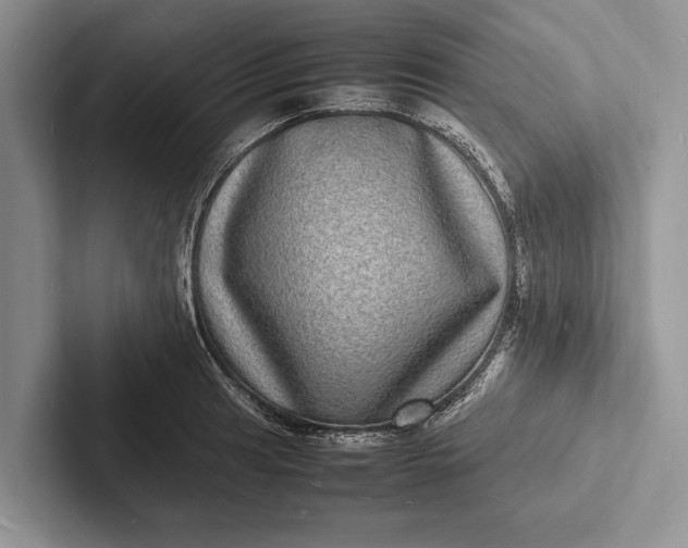 X0000103251041200809111611