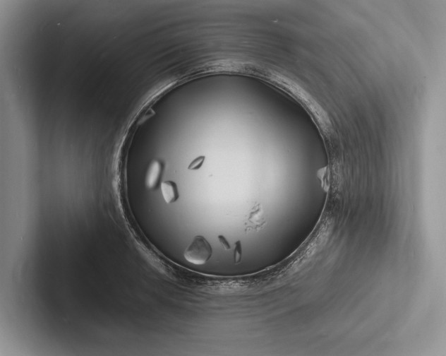 X0000103251042200809111611