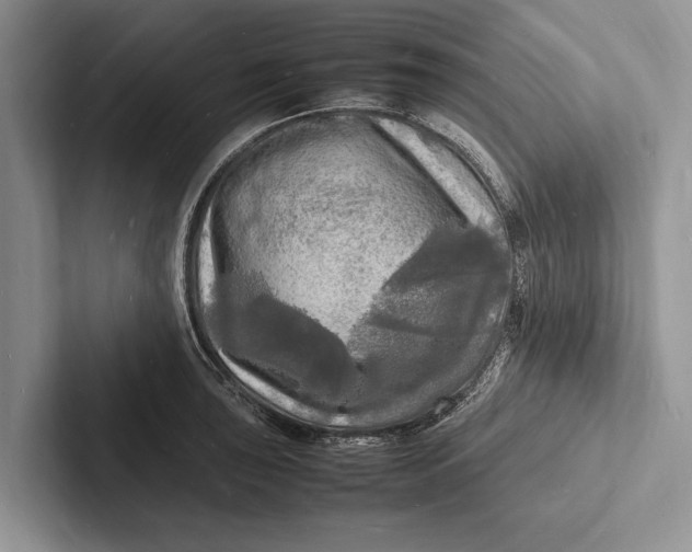 X0000103251043200809111611
