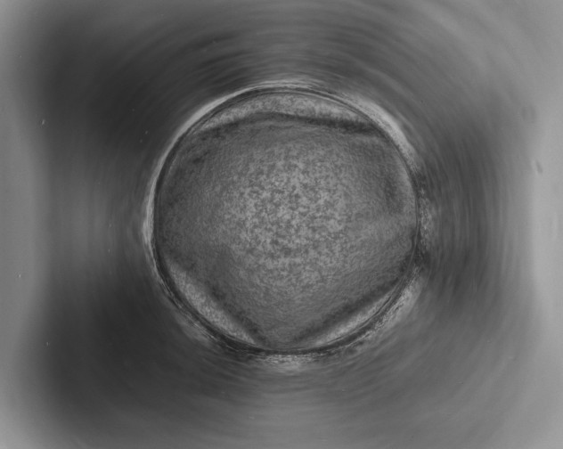 X0000103251044200809111611