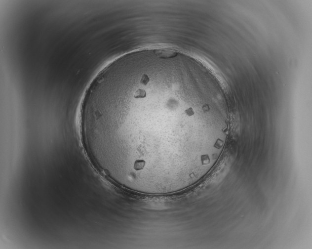 X0000103251046200809111611