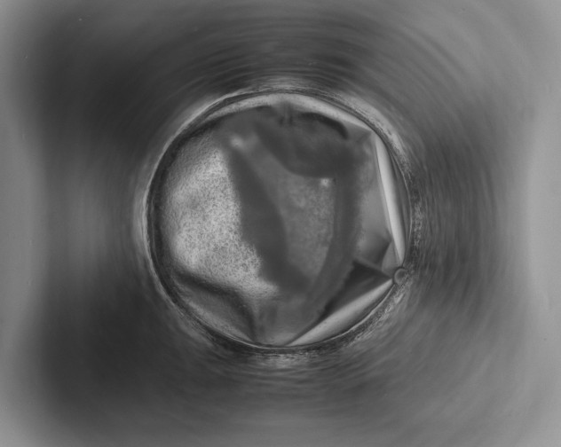 X0000103251047200809111611