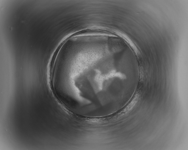 X0000103251048200809111611