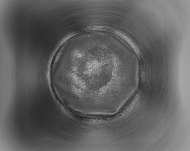 X0000103251050200809111611
