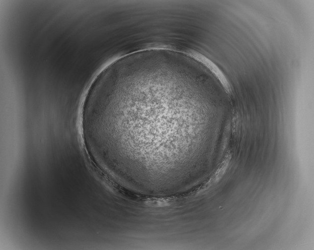 X0000103251051200809111611