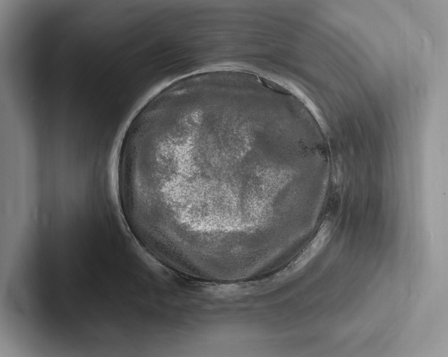 X0000103251054200809111611