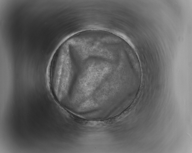 X0000103251056200809111611