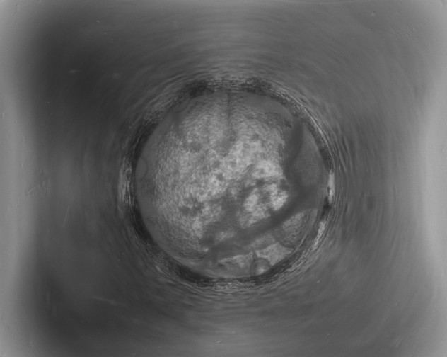 X0000103251059200809111611