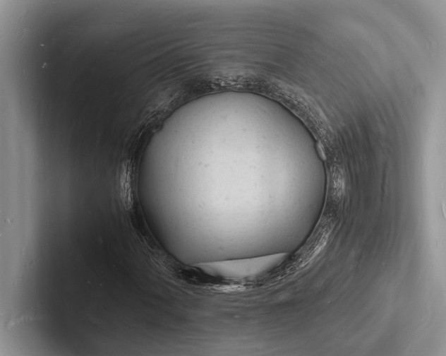 X0000103251060200809111611