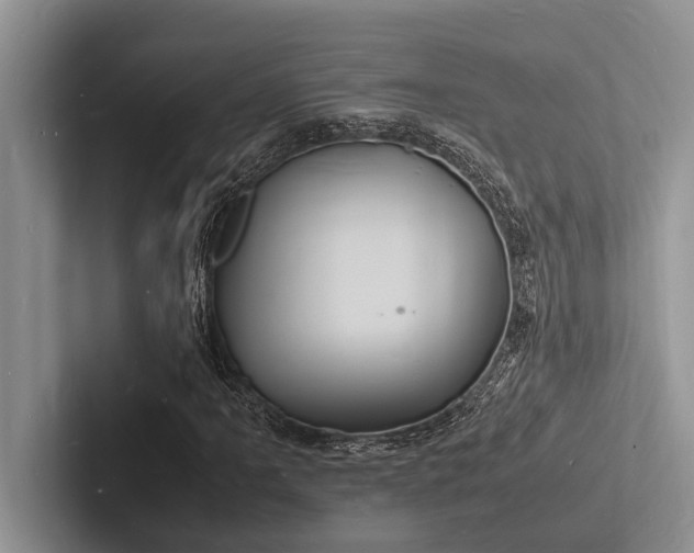 X0000103251061200809111611