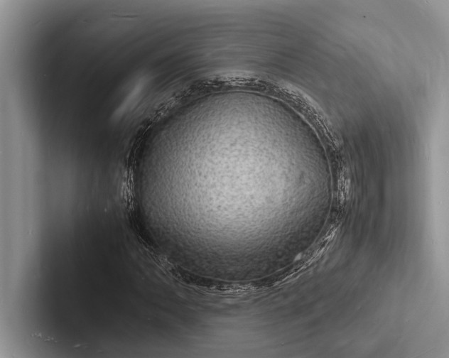 X0000103251062200809111611