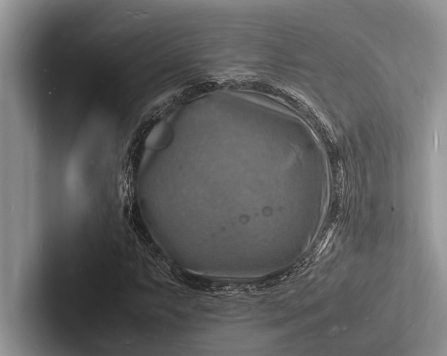 X0000103251063200809111611
