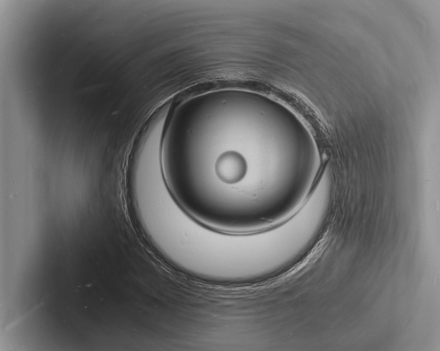 X0000103251065200809111611