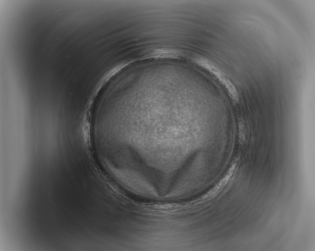 X0000103251066200809111611