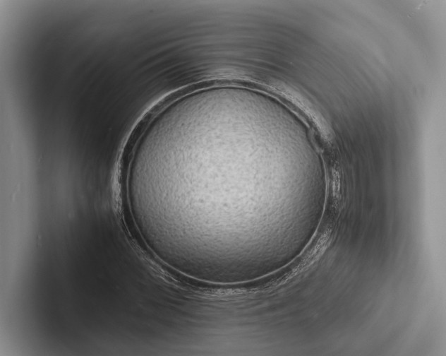 X0000103251068200809111611