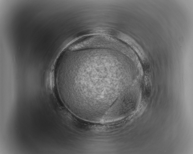 X0000103251069200809111611