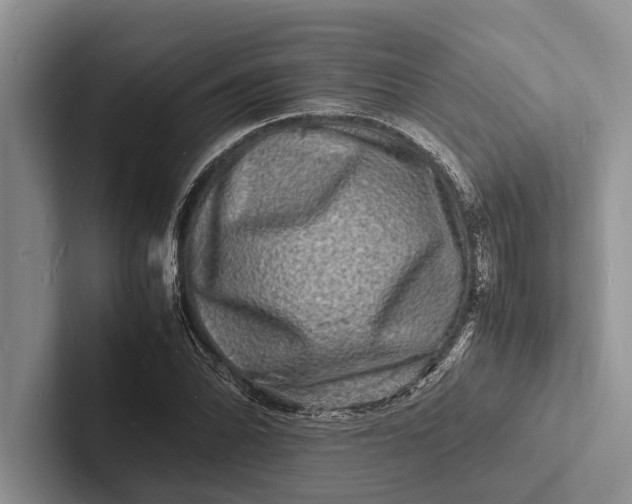 X0000103251070200809111610