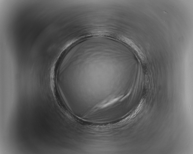 X0000103251071200809111610