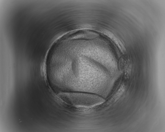 X0000103251072200809111610